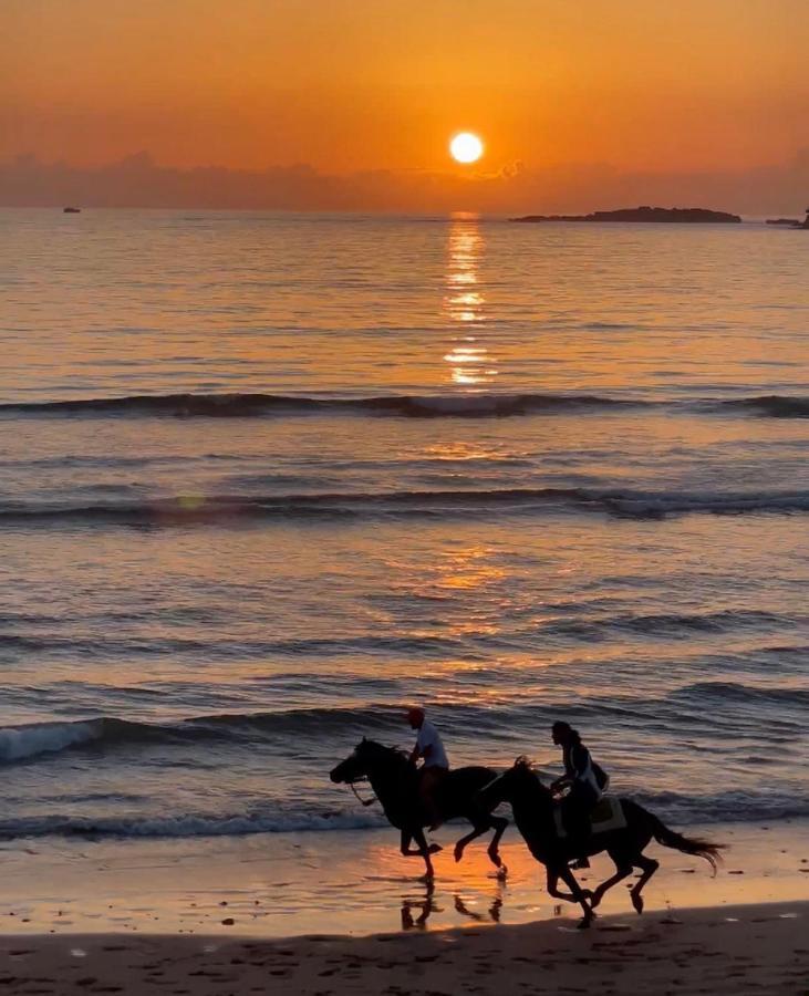 Prestigia Essaouira Mogador Luxury Ocean View 아파트 외부 사진